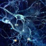 Série Revisamed ‘especialidades médicas’ destaca Neurologia