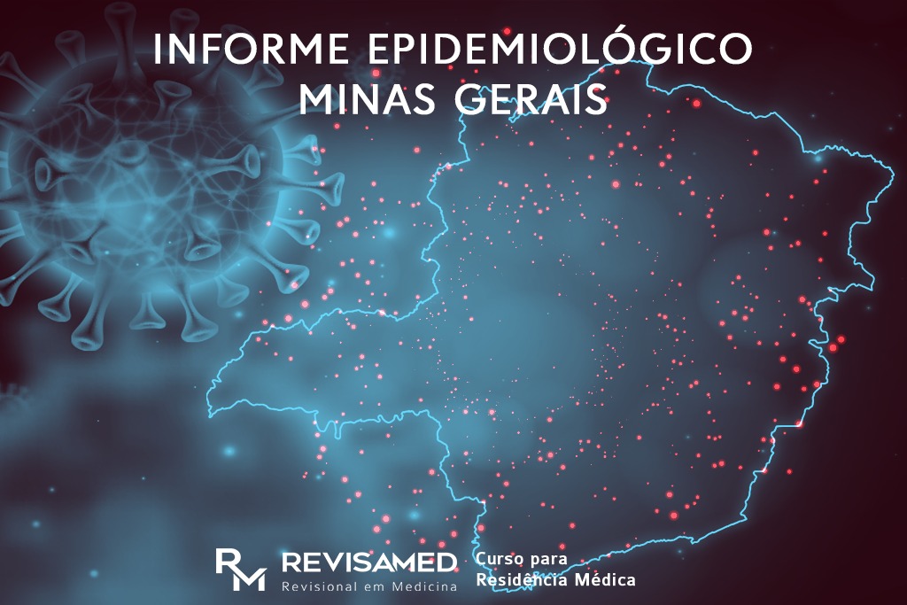 informe epidemiológico minas gerais
